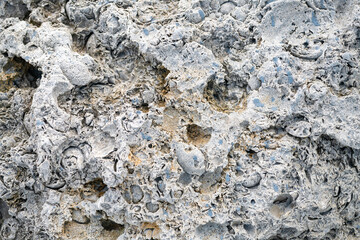 light limestone with traces of shells. Shell texture. Natural stone background