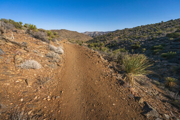 hiking the lost horse mine loop trail in joshua tree national park, california, usa