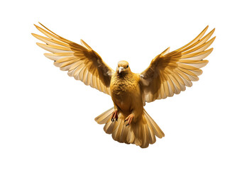 Golden pigeon flying