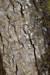 texture