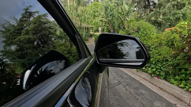 View of the sidemirror of a car driving in the street with trees on the sides