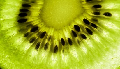 Close up image of a freshly cut kiwi fruit, with its juicy flesh and small black seeds visible