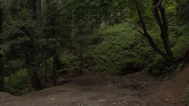 Footage of Khaira Gali forest landscape in Ayubia, Pakistan