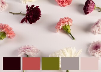 Composite of various beautiful flowers with color swatch on white background, copy space