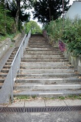 Elevated pathway consisting of a series of shallow steps ascending a hill