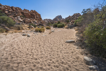 hiking the lost horse mine loop trail in joshua tree national park, california, usa