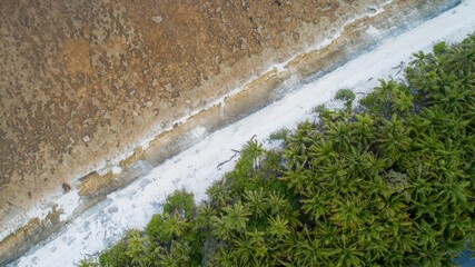 Clear blue water near a wall and palm trees creating a picturesque tropical scene