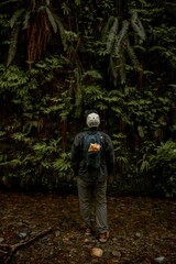 Closeup of man standing in fern canyon at redwoods national park