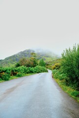 Scenic countryside path meandering through lush green hills in Irish Kerry