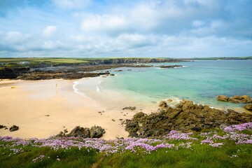 Scenic view of a beach with turquoise waters and light purple flowers growing in the foreground
