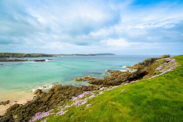 Scenic view of a beach with azure waters and purple flowers in the foreground