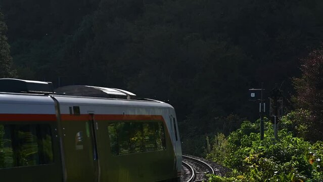 秋の坂祝カーブを走るHC85系特急ひだ（高山本線 坂祝 - 鵜沼, 2023年11月）