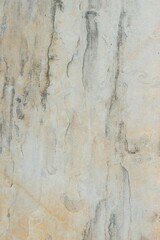 Closeup of a rocky surface under the bright sunlight