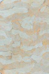 Closeup of a rocky surface under the bright sunlight