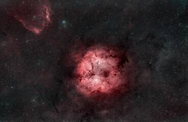 Elephant trunk nebula (IC 1396) and flying bat nebula (Sh2-129) in the constellation Cepheus. © Wirestock