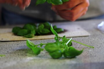 Homemade pizza with dough greens on a kitchen table