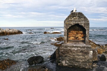 Couple of seagulls on an old chimney at a beach in New Zealand.