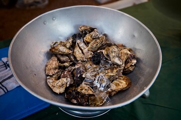 Close-up of Fresh oysters at the Boschendal Wine Estate night market in South Africa