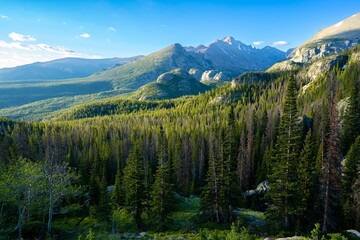 Scenic landscape featuring a range of mountains surrounded by lush evergreen trees