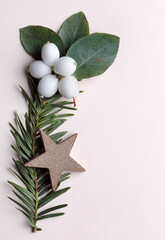 Abstract christmas decoration with white snowberries and gold star