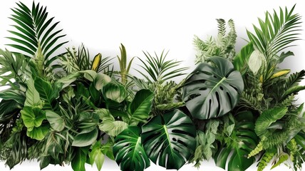 AI generated illustration of A vibrant wall display featuring a variety of tropical leaves