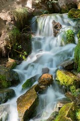 a mountain stream with rocks and moss growing in the area