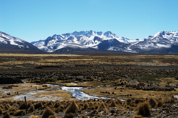 Beautiful landscape in sajama national park composed of mountains with snow in the background.