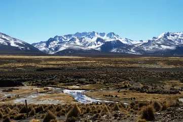 Papier Peint photo Lavable Pool Beautiful landscape in sajama national park composed of mountains with snow in the background.