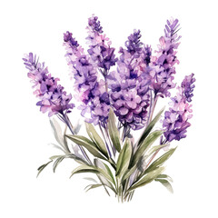 Fototapeta premium watercolor flowers isolated on transparent background
