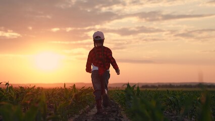 Kid runs in rubber boots on field with sprouts. Happy little girl rubber boots run on field sunset. Farmer child run in field corn sprouts. Happy carefree childhood. Growing corn, agricultural, food