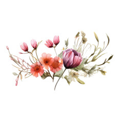 elegant floral featuring of flowers and leaves soft watercolor isolated on transparent background