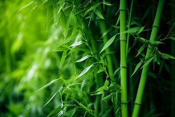 AI generated illustration of a lush green bamboo grove with a tall bamboo trees