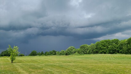 Obraz premium Grassy field blanketed in clouds with rain falling from the sky.