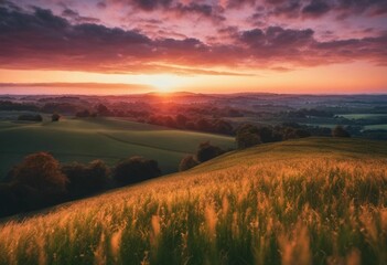 Fototapeta premium AI generated illustration of a sunset over the countryside, with expansive fields of golden barley