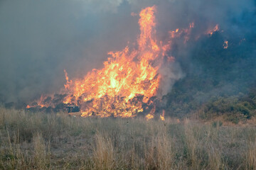Fototapeta na wymiar Wildfire in California with Flames and Smoke