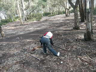 l'enfant à la découverte de la nature