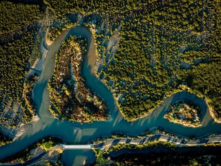 Aerial view of green mangroves on North island of New Zealand
