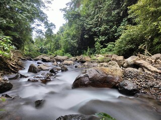 Long exposure of a stream meandering its way through the lush green jungle