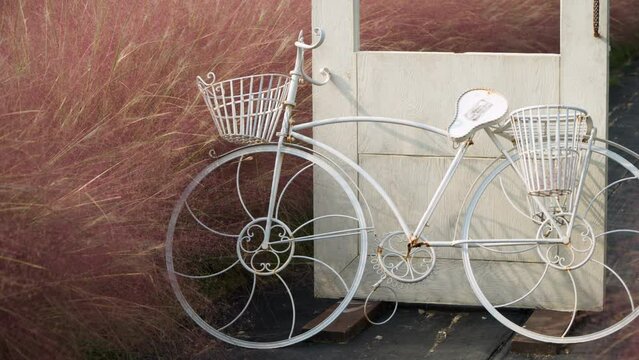 Herb Island Farm Decoration - Retro Bicycle Near Pink Muhly and White Door Frame for People to Take Picture with