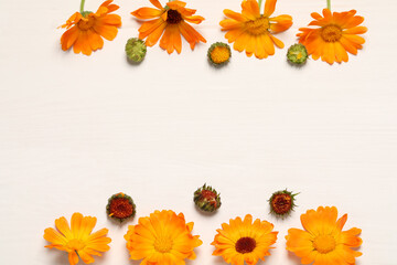 Beautiful fresh calendula flowers on white wooden table, flat lay. Space for text