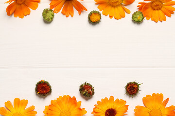 Beautiful fresh calendula flowers on white wooden table, flat lay. Space for text