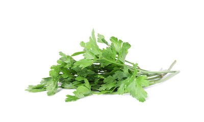 Sprigs of fresh green parsley leaves isolated on white