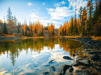 Clara and Marion Lake Trail with it's beautiful golden larches in Fall in Okanogan-Wenatchee National Forest, Washington State, USA