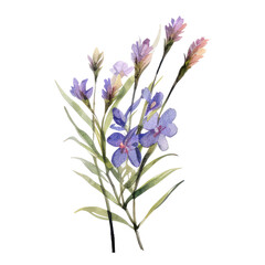 spring floral watercolor bouquet, vibrant color isolated on transparent background