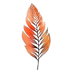 watercolor Autumn flowers isolated on transparent background