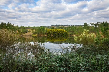 Lake in the woods with beautiful winter blue skies reflections. Bricks water dam in a small village
