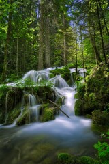 Obraz premium Scenic view of a waterfall cascading down the mossy rocks in a forest