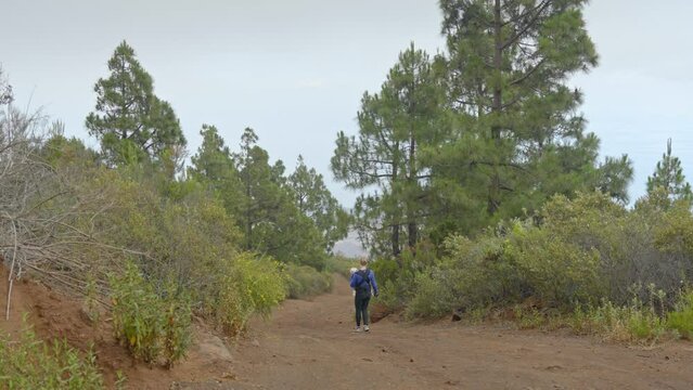 Woman with baby in baby carrier walking down path in slow motion, Tenerife