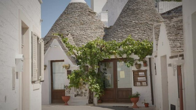 charming italian white trulli house in alberobello with green plants