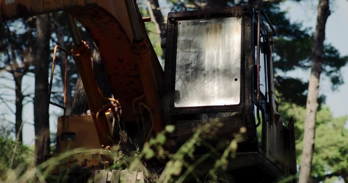 Medium view of excavator in middle of field below tree canopy, static